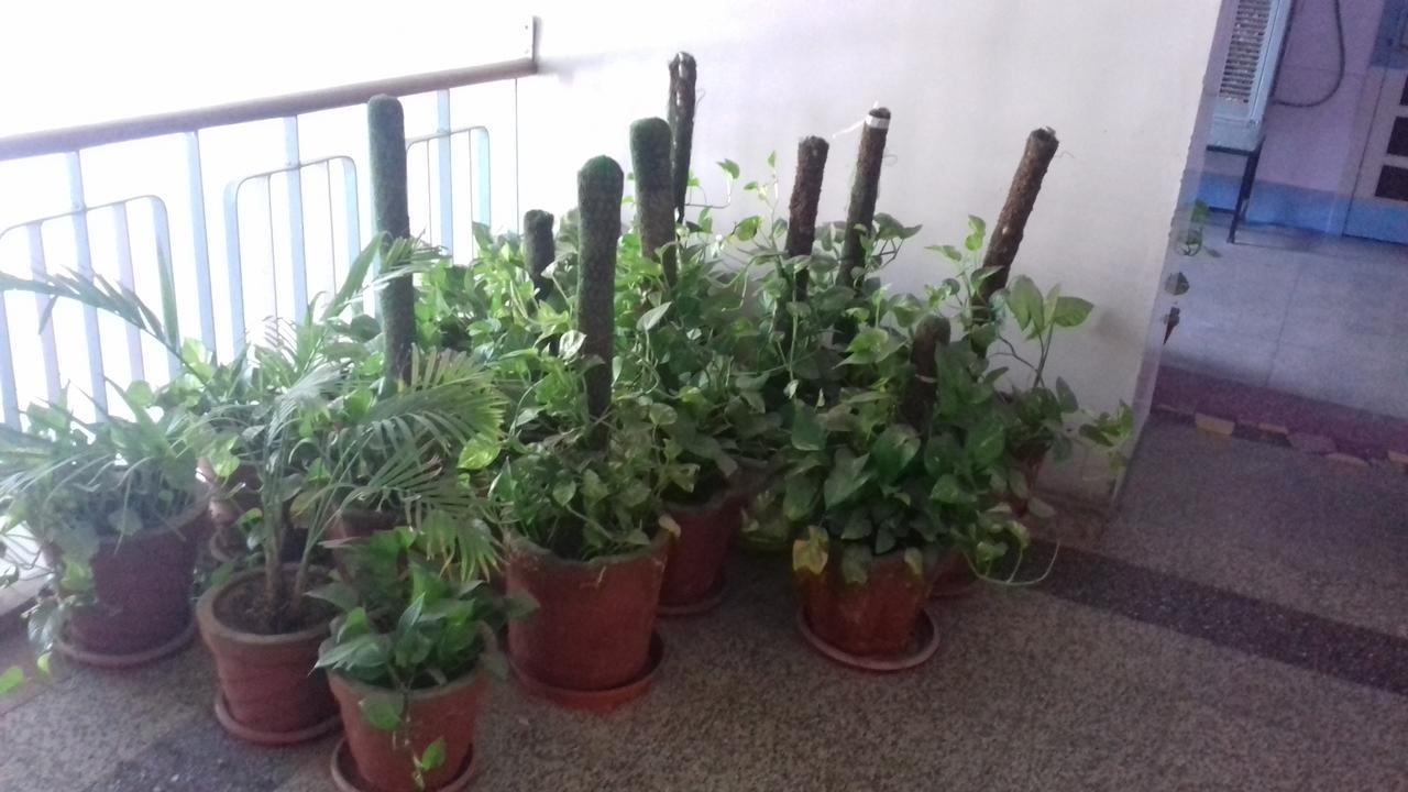 Arun Hotel Džódhpur Exteriér fotografie