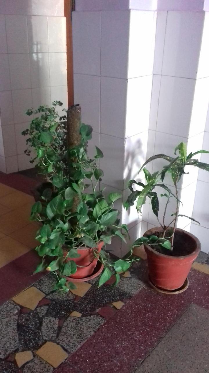 Arun Hotel Džódhpur Exteriér fotografie